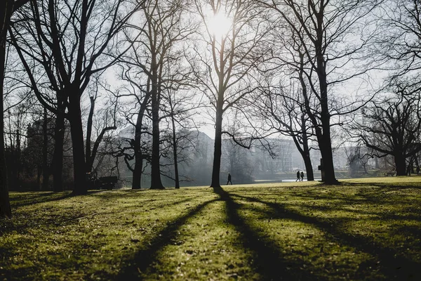 Parque Otoño Con Árboles Hierba Verde Ciudad Dresde Alemania —  Fotos de Stock