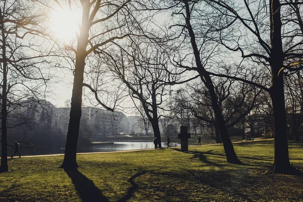 Hösten Park Med Träd Och Grönt Gräs Dresden City Tyskland — Stockfoto