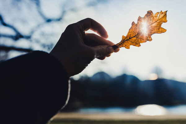 close-up photo of female hand holding yellow autumn leaf on blue sky background