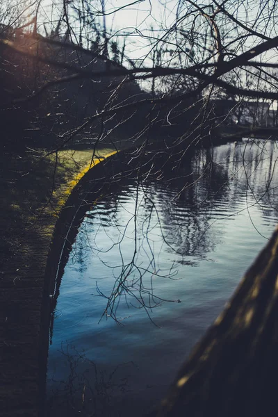 Parque Otoño Con Árboles Río Tranquilo Ciudad Dresde Alemania —  Fotos de Stock