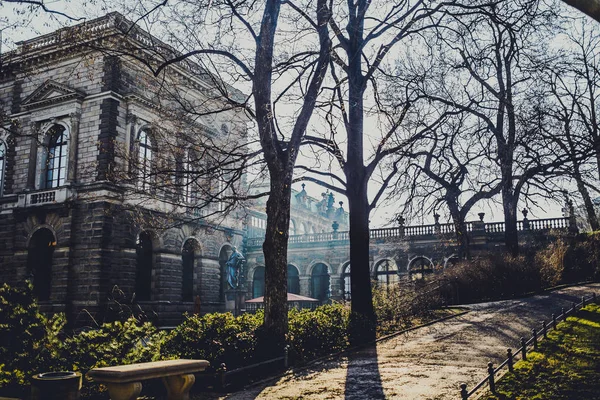 Dresden Şehir Ağaçlarda Ile Almanya Tarihi Bina Güneşli Zaman — Stok fotoğraf