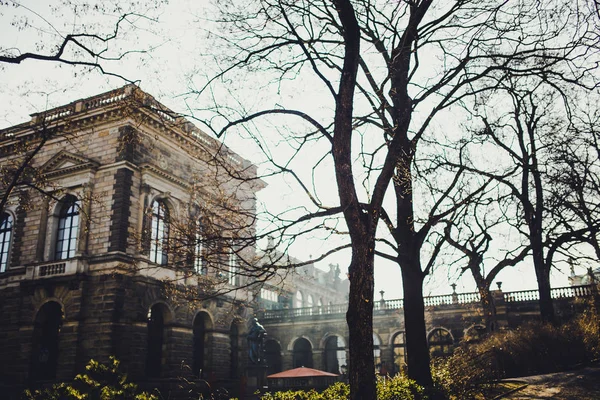 Güzel Ile Tarihi Bina Dresden Şehir Ağaçlarda Güneşli Anda Almanya — Stok fotoğraf