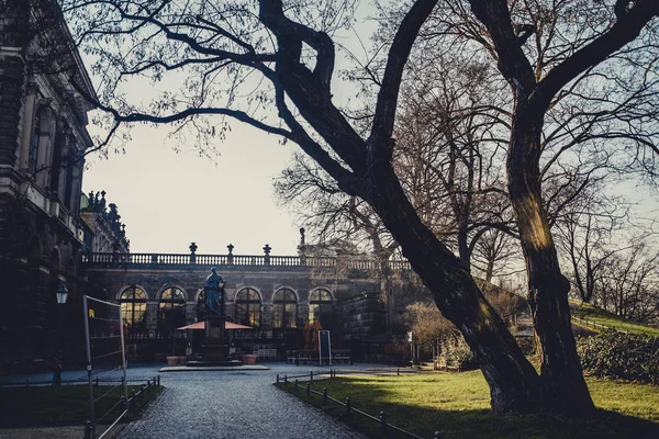 Όμορφο Ιστορικό Κτήριο Δέντρα Στην Πόλη Δρέσδη Ηλιόλουστα Στιγμή Στη — Φωτογραφία Αρχείου