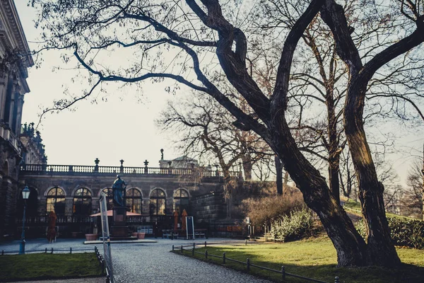 Vackra Historiska Byggnad Med Träd Dresden City Soliga Tid Tyskland — Stockfoto