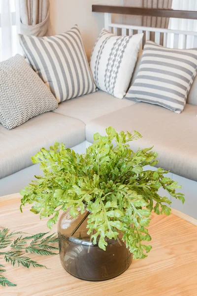 Vast of plants on wooden round table in modern living room desig — Stock Photo, Image