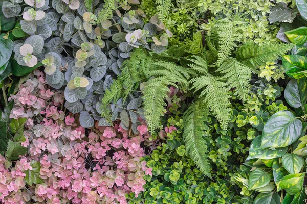 vertical garden wall background