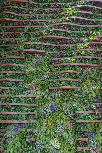 Vertikale Gartenmauer Hintergrund — Stockfoto