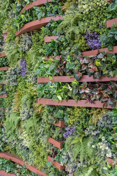 Vertikale Gartenmauer Hintergrund — Stockfoto