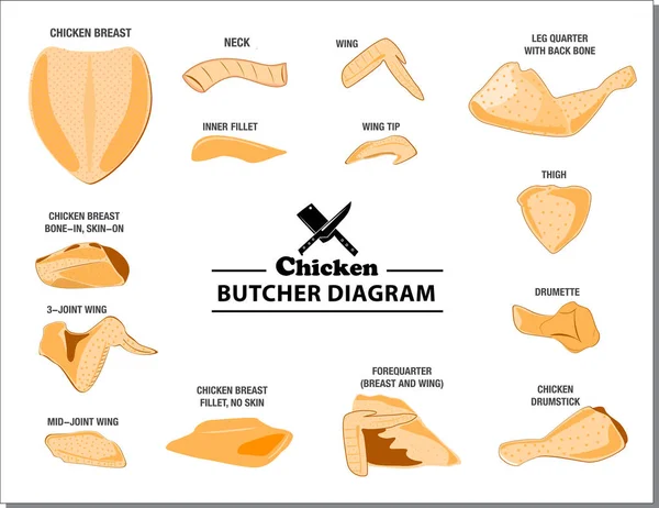 Diagrama de carnicero de pollo o parte del concepto de carnicero de gallina . — Vector de stock