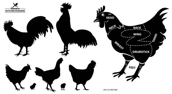 Kyckling silhuett eller slaktare diagram eller en del av slaktaren koncept. — Stock vektor
