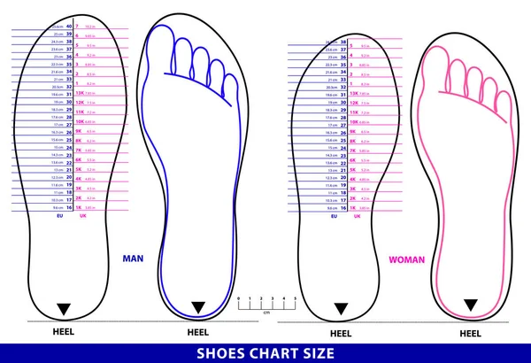 Conjunto de zapatos tabla tamaño o calcetines tabla tamaño o medida pie gráfico concepto . — Archivo Imágenes Vectoriales