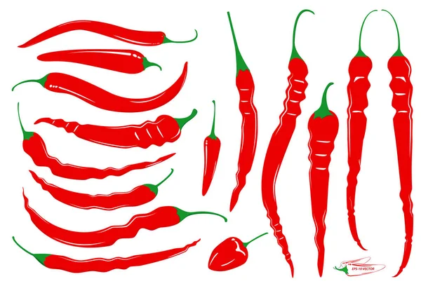 Conjunto Chili Vermelho Quente Chili Ingrediente Alimentar Conceito Eps Vetor — Vetor de Stock