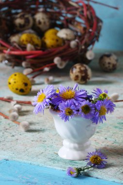 Yuvada bıldırcın yumurtası