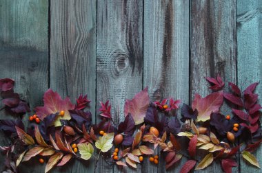 Sonbahar yapraklı arkaplan