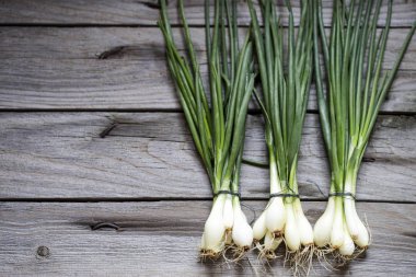 rustik tarzda bir ahşap tahta üzerinde yeşil soğan