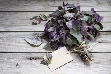 Ahşap kurullarında taze fesleğen