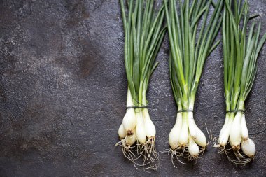 Koyu arka plan üzerinde yeşil soğan