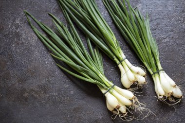 Koyu arka plan üzerinde yeşil soğan