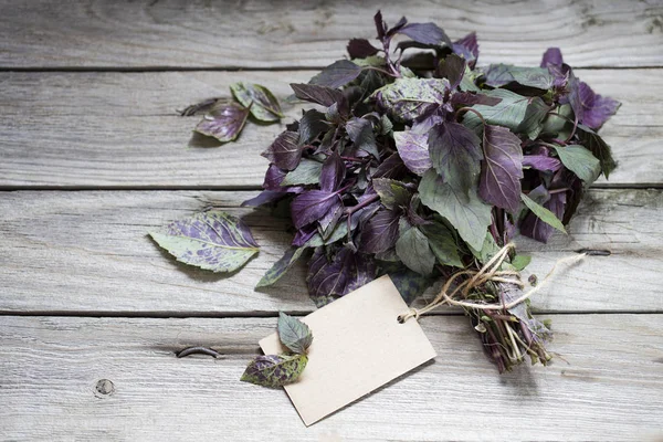 Ahşap kurullarında taze fesleğen