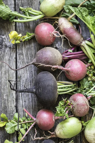 root vegetables turnips, radishes, beets on a wooden background