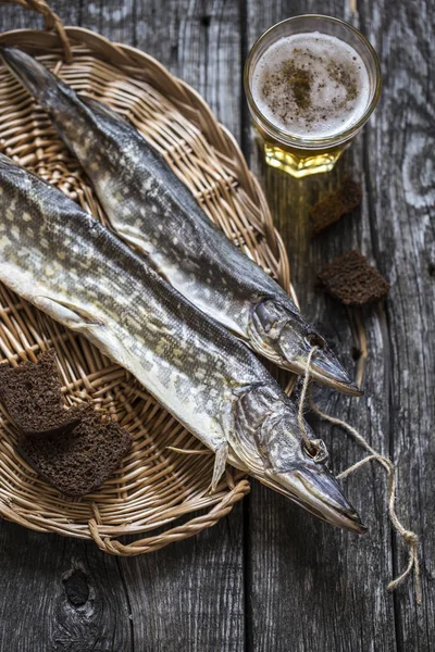 Fish pike: dried, dried with a glass of beer — Stock Photo, Image