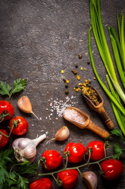 domates, yeşil soğan, tuz, baharat, karanlık bir arka plan üzerinde yemek pişirmek için otlar