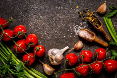 domates, yeşil soğan, tuz, baharat, karanlık bir arka plan üzerinde yemek pişirmek için otlar