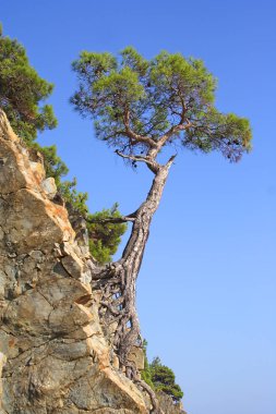 Dağlar peyzaj üzerinde mavi gökyüzü