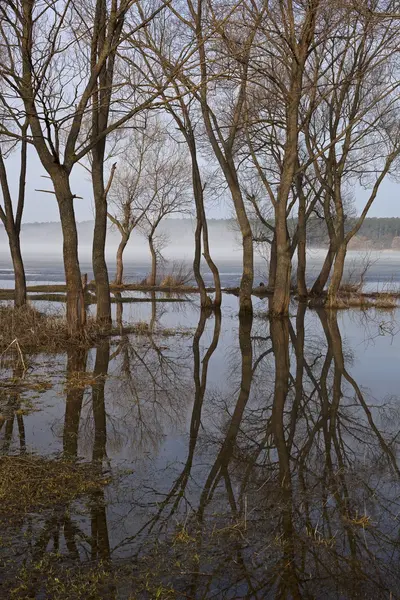 Bahar, ağaçlar, yansıması.