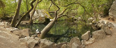 Eski parkta küçük bir göl.