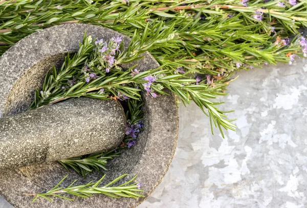 Rosemary dalam mortir. Herbal harum . — Stok Foto