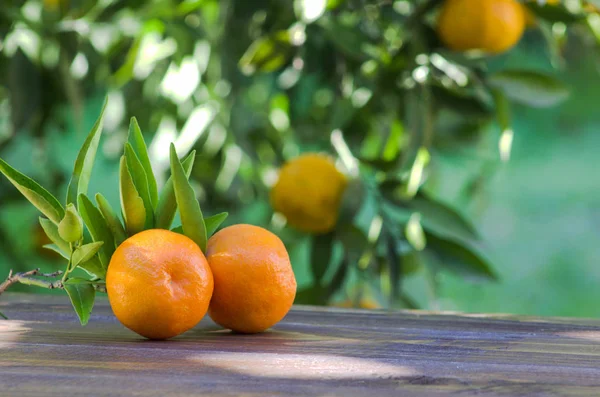 Sumo de mandarim e frutas frescas . — Fotografia de Stock