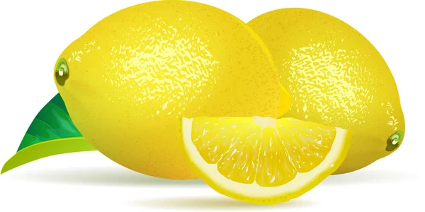 Limones sobre fondo blanco — Archivo Imágenes Vectoriales