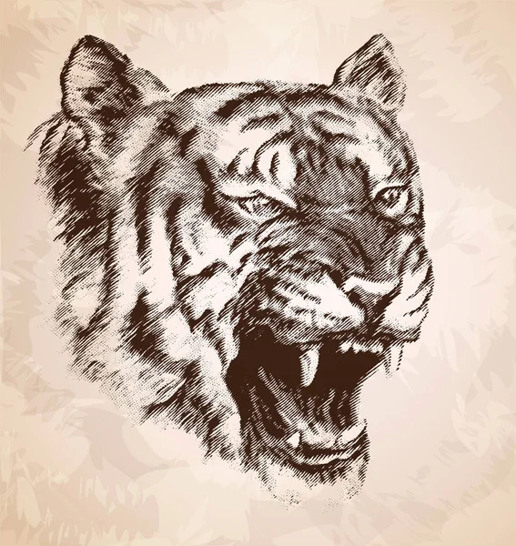 A cabeça do tigre malvado — Vetor de Stock