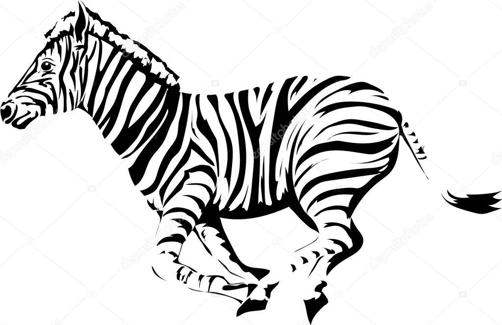 The running animal is a zebra.