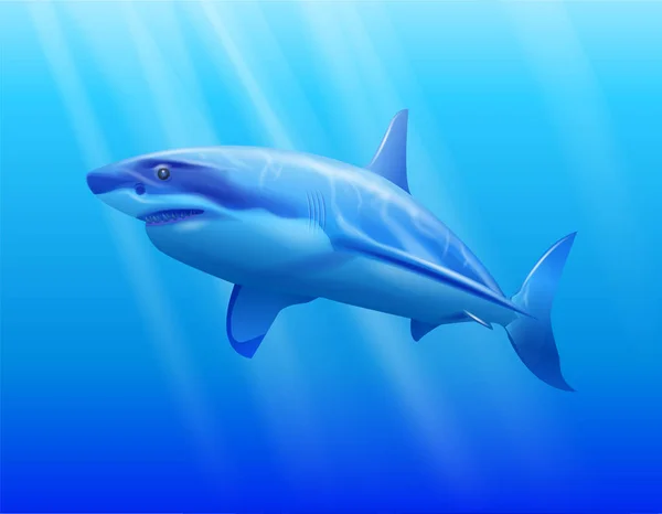 Sudaki köpekbalığı — Stok Vektör