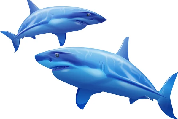 Köpekbalıkları bir beyaz zemin üzerine — Stok Vektör