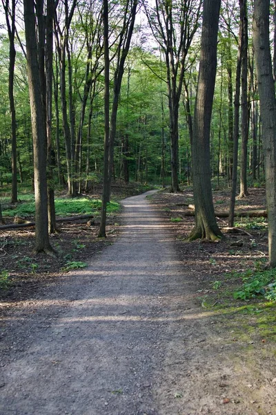 Önde gelen güzel bir iz izole görüntü