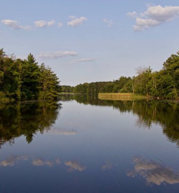 İnanılmaz bir göl ve ormanın izole edilmiş görüntüsü.
