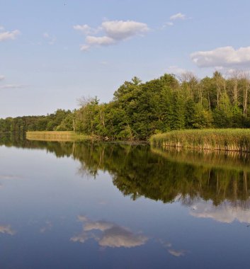 İnanılmaz bir göl ve ormanın izole edilmiş görüntüsü.