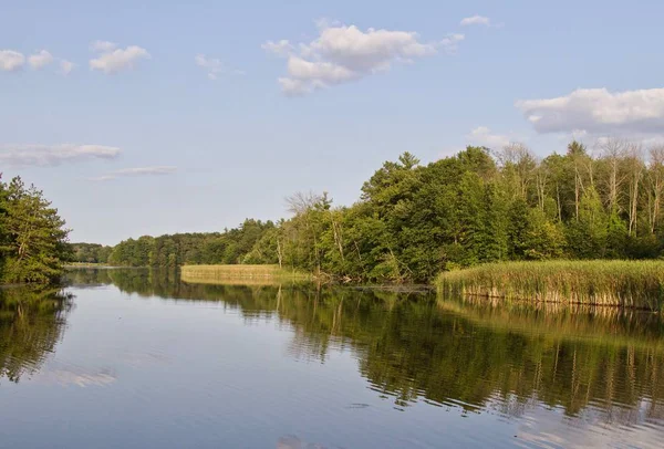 İnanılmaz bir göl ve ormanın izole edilmiş görüntüsü.