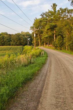 Kartpostal kırsal alanda güzel bir yol ile
