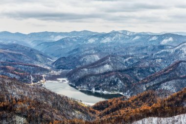 kar kış doğa göl su yaprak akışı