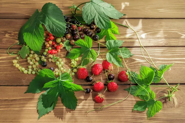 bir tablo kuş üzümü üzerinde yeşil yaprak dut