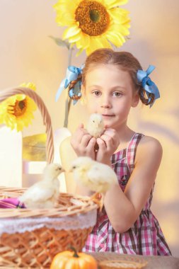 bir tavuk stüdyo elinde tutan genç kız