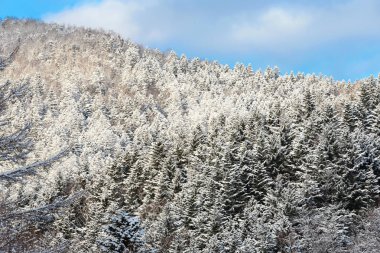 ayaz akşam günbatımı