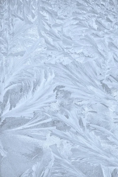 Frost on the window — Stock Photo, Image