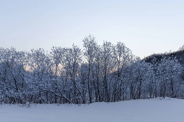 Sonniger frostiger Morgen — Stockfoto