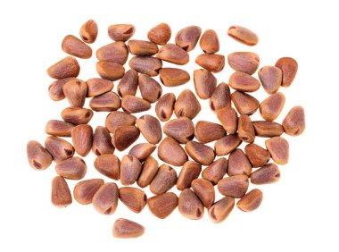 Sedir çam koni fındık beyaz bir arka plan üzerinde