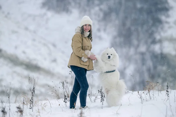 Genç bir kız kışın ormanda karlı bir çayırda beyaz Samoylu bir köpekle yürüyor..